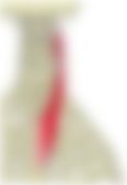 会員限定の図