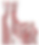 会員限定の図