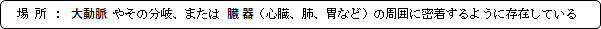 場所：大動脈やその分岐、または臓器（心臓、肺、胃など）の周囲に密着するように存在している