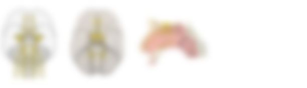 会員限定の図