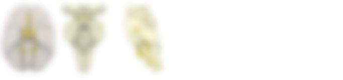 会員限定の図