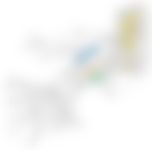 会員限定の図