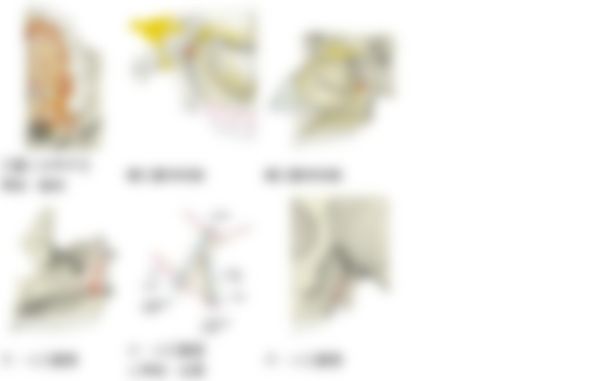 会員限定の図