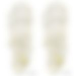 会員限定の図