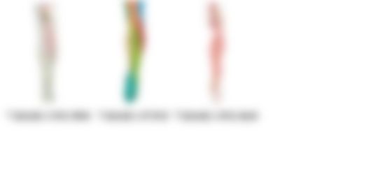 会員限定の図