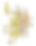 会員限定の図