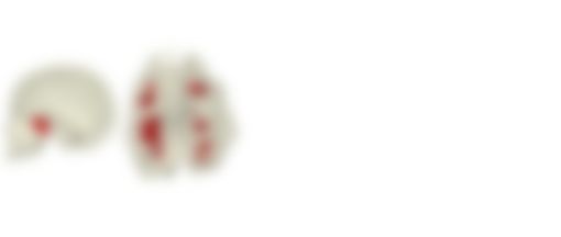 会員限定の図