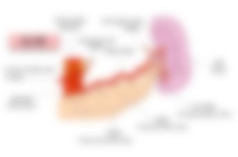 会員限定の図