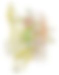 会員限定の図