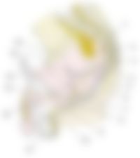 会員限定の図