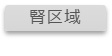 腎区域