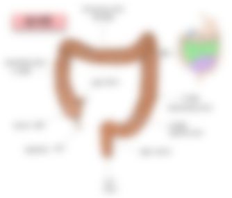 会員限定の図