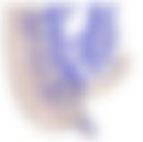 会員限定の図