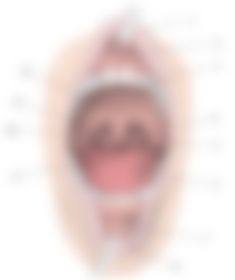 会員限定の図