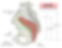 会員限定の図