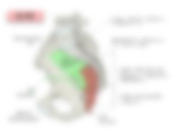 会員限定の図