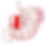 会員限定の図