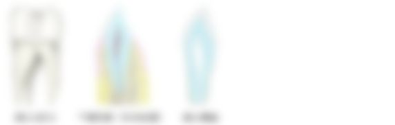 会員限定の図