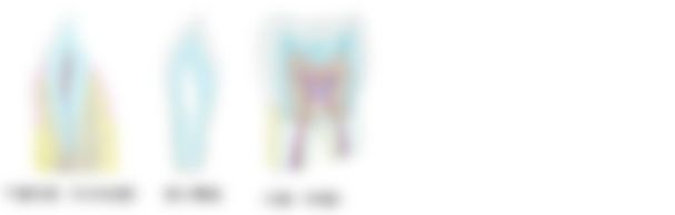 会員限定の図