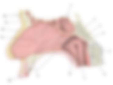 会員限定の図