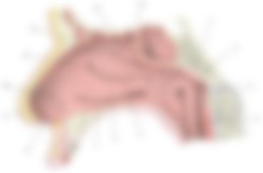 会員限定の図