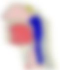 会員限定の図
